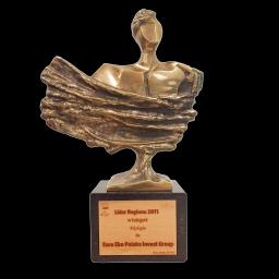 Nagroda lidera regionu 2011